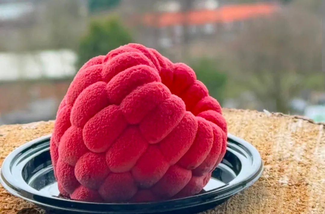 A raspberry-shaped entremets on a black plate against soft window light, hand-crafted illusion cake